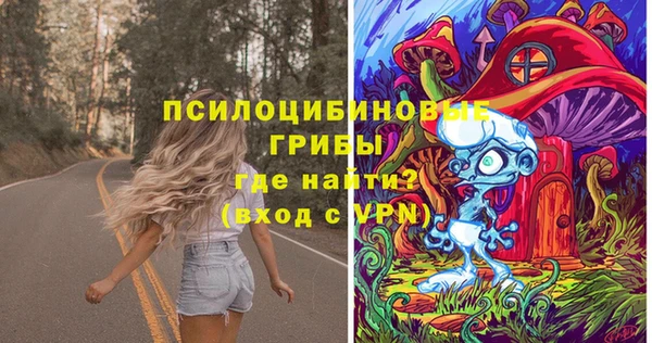 Альфа ПВП Заволжск