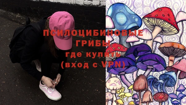 Альфа ПВП Заволжск