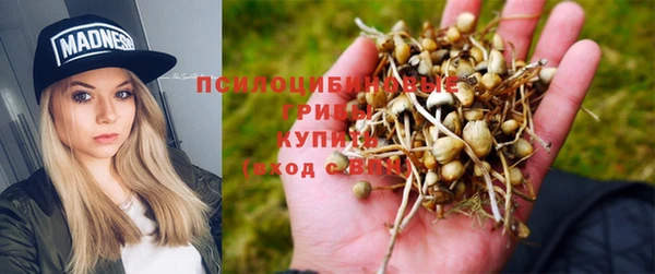 Альфа ПВП Заволжск